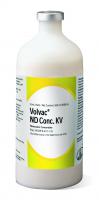                           ND Conc.  KV