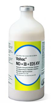  ND+IB+EDS KV