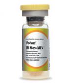  IB Mass MLV